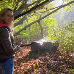 De magie van het leven