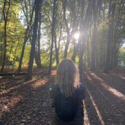 SHINE Experience – Discover Your Energy - 1 nov. 2025