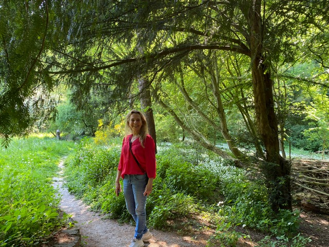 SHINE START - Afbeelding 3