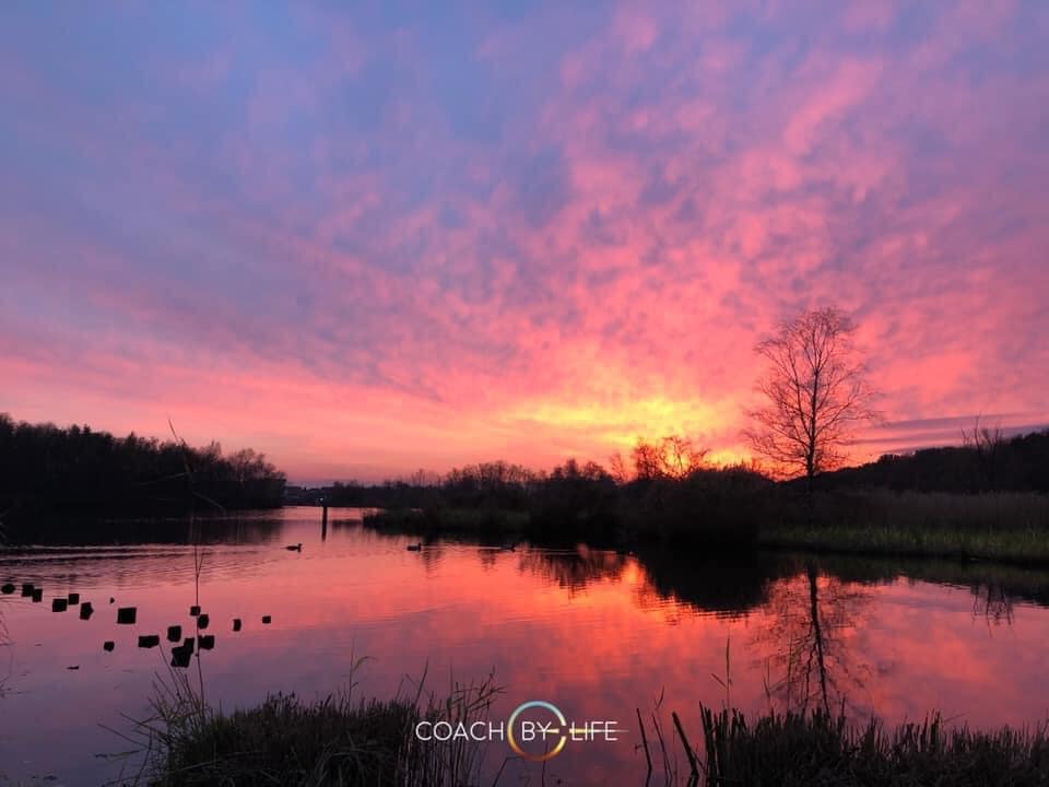 STORY WALK INDIVIDUAL - DISCOVER YOUR NATURAL ENERGY - Afbeelding 5