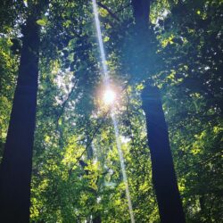 SHINE Experience – Discover Your Energy - DUO TICKET - 1 nov. 2025